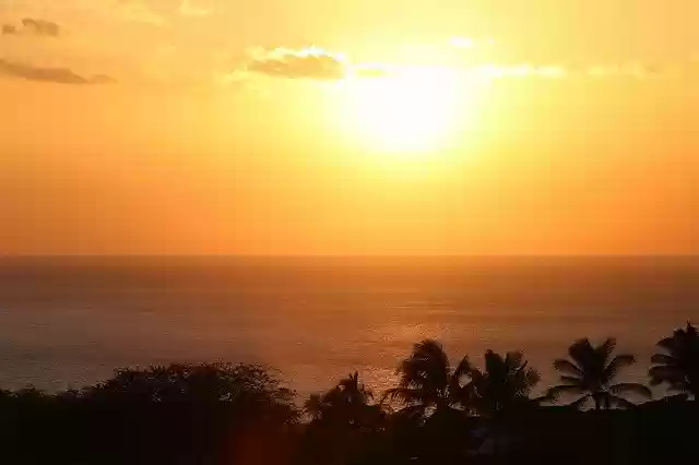 Free download Hawaii Palm Sunset -  free photo or picture to be edited with GIMP online image editor