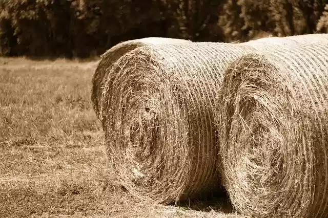 Free download Hay Bales Landscape -  free photo or picture to be edited with GIMP online image editor
