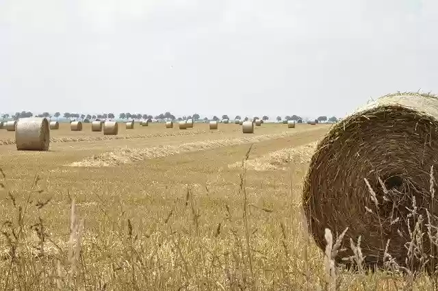 Free download Hay Landscape Field -  free photo or picture to be edited with GIMP online image editor