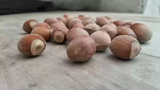 Free download Hazelnuts Dried Fruit Hazel -  free photo or picture to be edited with GIMP online image editor