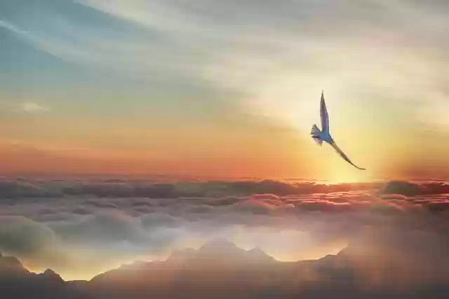 Free download hd wallpaper nature wallpaper free picture to be edited with GIMP free online image editor