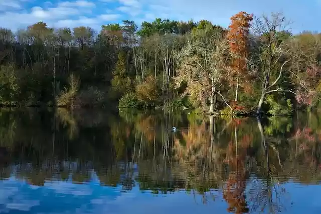 Free download hd wallpaper nature wallpaper pond free picture to be edited with GIMP free online image editor