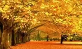 Free download hd wallpapers free photo or picture to be edited with GIMP online image editor