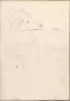 Free download Head of a Dog (Smaller Italian Sketchbook, leaf 35 recto) free photo or picture to be edited with GIMP online image editor