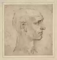 Free download Head of a Man in Profile to Right free photo or picture to be edited with GIMP online image editor