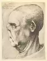 Free download Head of a Man with a Flattened Nose free photo or picture to be edited with GIMP online image editor