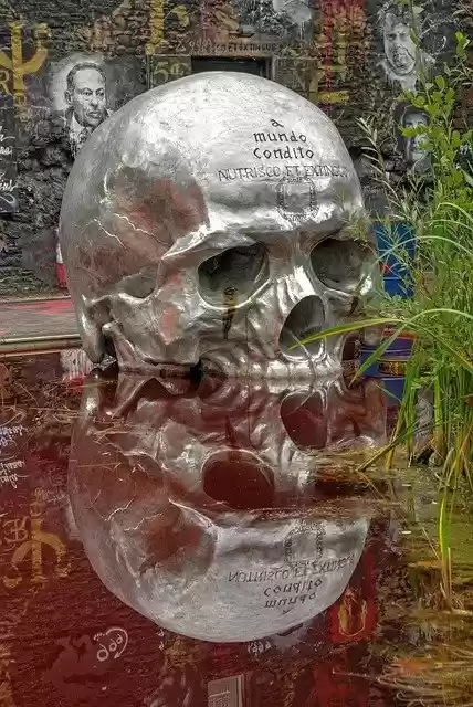 Free download Head Of Death -  free photo or picture to be edited with GIMP online image editor