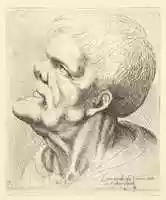 Free download Head of Old Man with Snub Nose and Prominent Chin free photo or picture to be edited with GIMP online image editor
