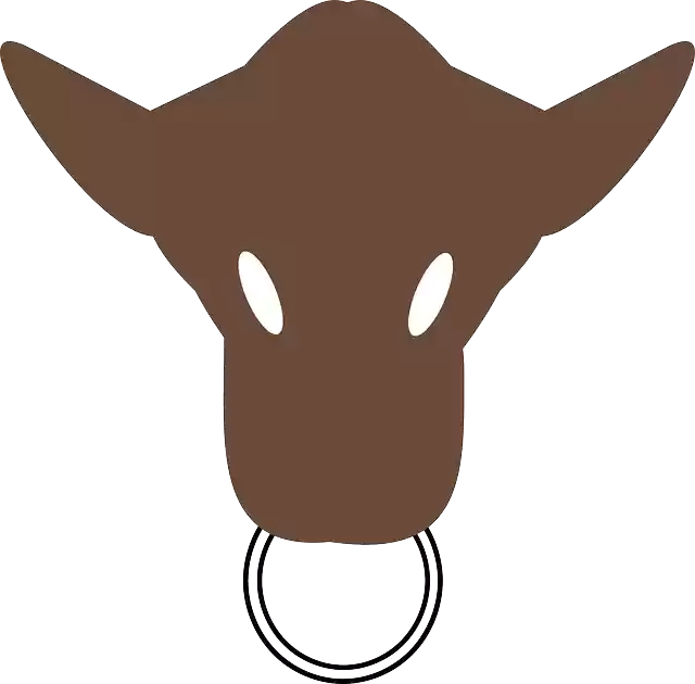 Free download Head Silhouette Face - Free vector graphic on Pixabay free illustration to be edited with GIMP free online image editor