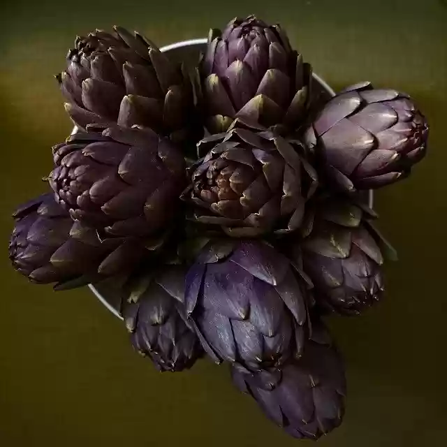 Libreng download Healthy Artichoke Vegetables - libreng libreng larawan o larawan na ie-edit gamit ang GIMP online na editor ng imahe