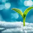 Healthy preschool  screen for extension Chrome web store in OffiDocs Chromium