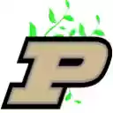 Healthy Purdue Vegan  Vegetarian Options  screen for extension Chrome web store in OffiDocs Chromium