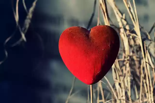 Free download heart love ornament tender free picture to be edited with GIMP free online image editor