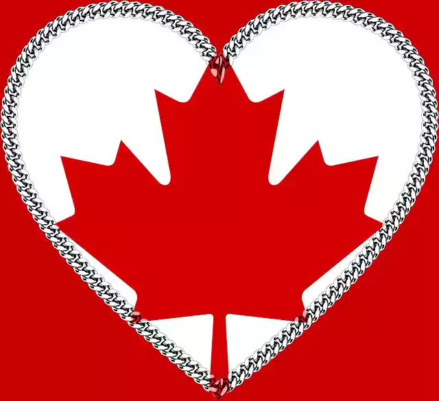 Free download Heart Red Canada Maple -  free illustration to be edited with GIMP free online image editor