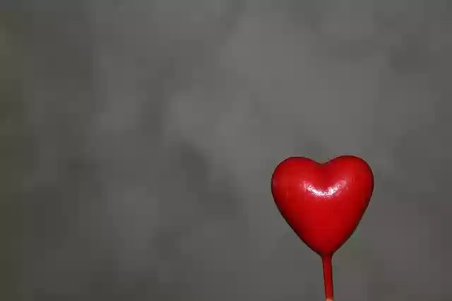 Free download Heart Red Romance free video to be edited with OpenShot online video editor