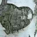 Heart shaped floating tree  screen for extension Chrome web store in OffiDocs Chromium