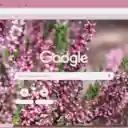 Heather Pink  screen for extension Chrome web store in OffiDocs Chromium
