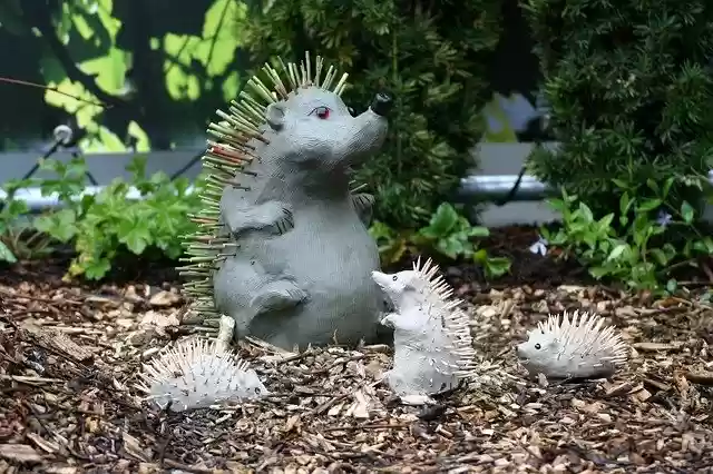 Free download Hedgehog Family Children -  free free photo or picture to be edited with GIMP online image editor