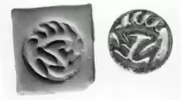Free download Hemispheroid seal with radiating lines on back free photo or picture to be edited with GIMP online image editor