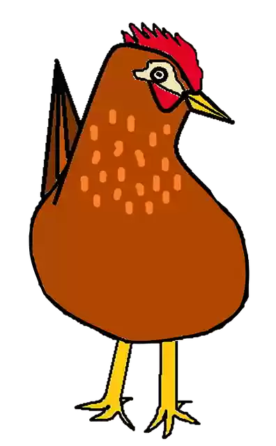 Free download Hen Drawing Ave -  free illustration to be edited with GIMP free online image editor