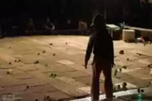 Free download Herdanza 16 002 free photo or picture to be edited with GIMP online image editor