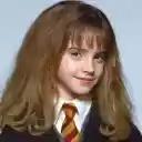 Hermione Granger She Knows Everything  screen for extension Chrome web store in OffiDocs Chromium