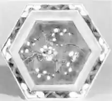Free download Hexagonal Saucer (one of a pair) free photo or picture to be edited with GIMP online image editor