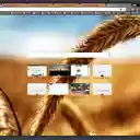 hidden beauties  screen for extension Chrome web store in OffiDocs Chromium