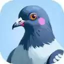 Hidden Pigeon Game Find all the pigeons hidden in each picture!  screen for extension Chrome web store in OffiDocs Chromium