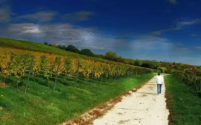 Free download Hiking Away Sky -  free photo or picture to be edited with GIMP online image editor