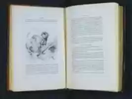Free download Histoire de lEmpereur Napoleon free photo or picture to be edited with GIMP online image editor