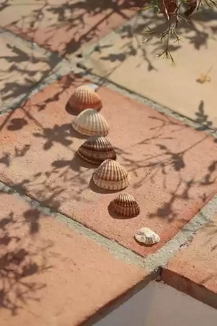 Free download Hiszpania Muszla Lato -  free photo or picture to be edited with GIMP online image editor