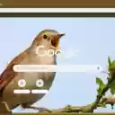Hoa Mi  screen for extension Chrome web store in OffiDocs Chromium