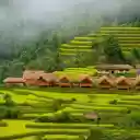 Hoang Su Phi Lodge – A Tranquil Retreat Amidst Ha Giang’s Rice Terraces  screen for extension Chrome web store in OffiDocs Chromium