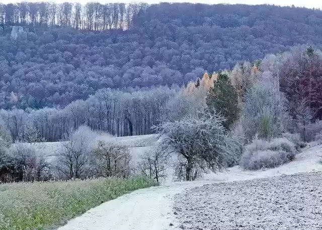 Free download Hoarfrost Landscape Forest -  free free photo or picture to be edited with GIMP online image editor