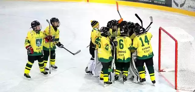 Free download Hockey Children Pupils -  free photo or picture to be edited with GIMP online image editor