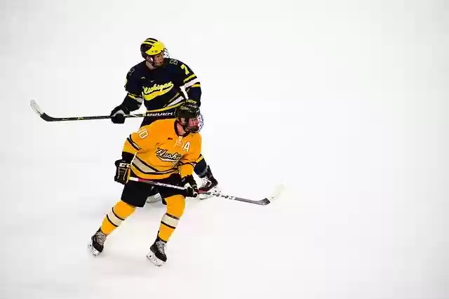 Free download Hockey Ice Players -  free photo or picture to be edited with GIMP online image editor