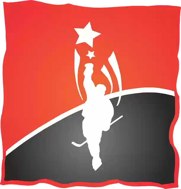 Free download Hockey Star Skater - Free vector graphic on Pixabay free illustration to be edited with GIMP free online image editor