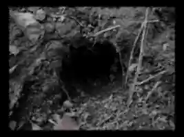 Free download hole free photo or picture to be edited with GIMP online image editor