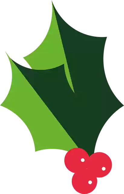 Free download Holly Christmas Berries - Free vector graphic on Pixabay free illustration to be edited with GIMP free online image editor