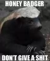 Free download HONEY BADGER DONT GIVE A SHIT - image macro free photo or picture to be edited with GIMP online image editor