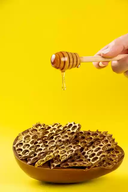 Free download honey hive sweetner sweet bee free picture to be edited with GIMP free online image editor