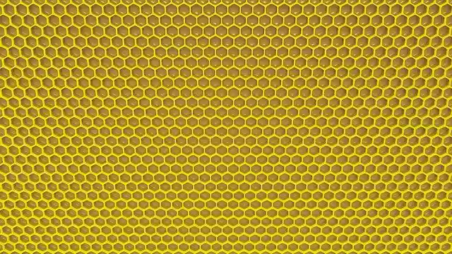 Free download Honey Insect Bee -  free illustration to be edited with GIMP free online image editor