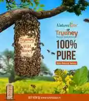 Free download Honey Nest free photo or picture to be edited with GIMP online image editor