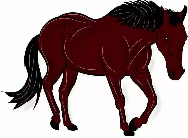 Free download Horse Animal Nature -  free photo template to be edited with GIMP online image editor