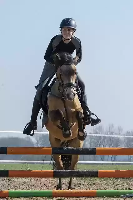 Free download Horseback Riding Horse Equestrian -  free photo or picture to be edited with GIMP online image editor
