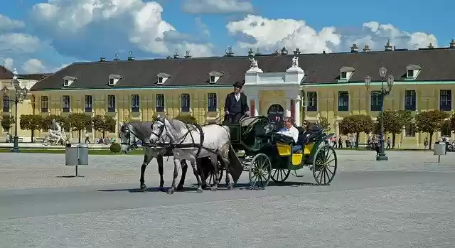 Free download Horse Carriage Vienna Schönbrunn -  free photo or picture to be edited with GIMP online image editor