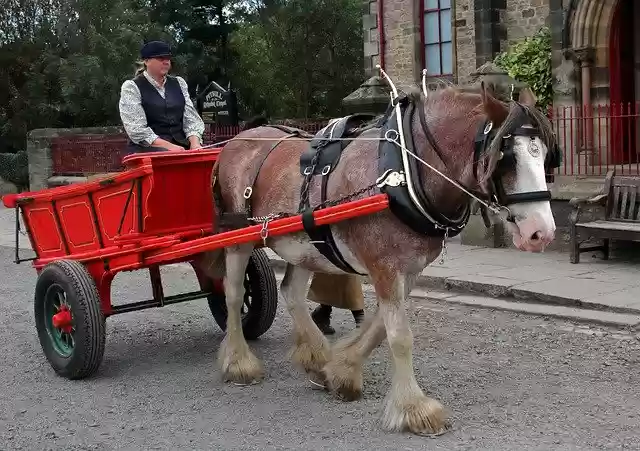 Free download Horse Cart Beamish -  free photo or picture to be edited with GIMP online image editor