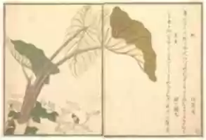 Free download Horsefly (abu); Green Caterpillar, imomushi, from the Picture Book of Crawling Creatures (Ehon mushi erami) free photo or picture to be edited with GIMP online image editor