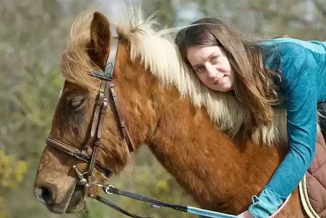 Free download horse friends animal ride woman free picture to be edited with GIMP free online image editor
